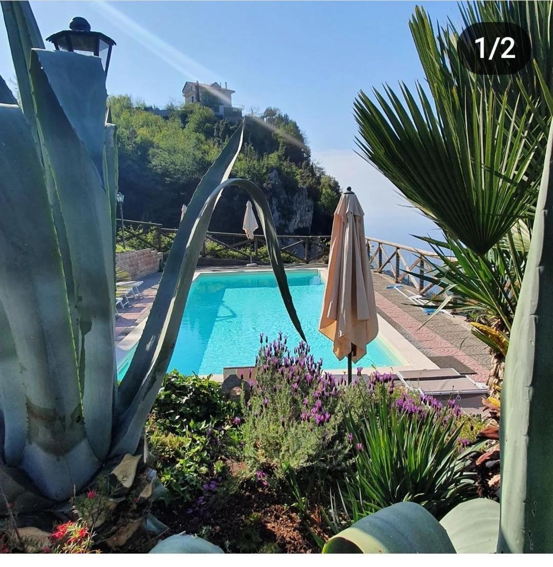 La Cicogna Bed & Breakfast Agerola Exterior photo
